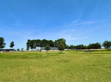 Tocqueville-les-Murs, Normandy 76110