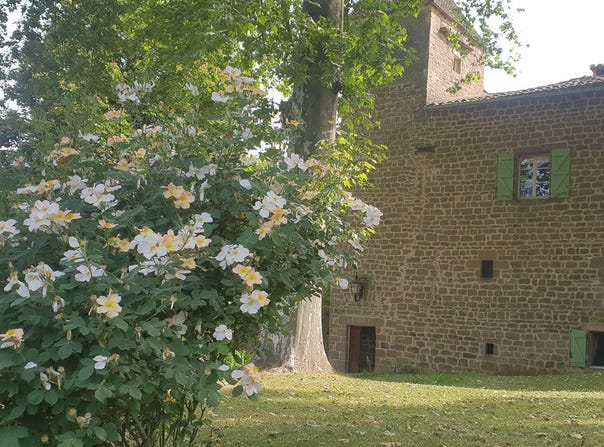 Cordes-sur-Ciel, Midi-Pyrénées 81170
