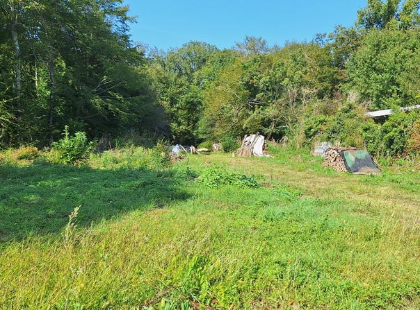 Luant, Centre-Val de Loire 36350