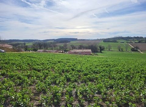 PUYCASQUIER, Midi-Pyrénées 32120