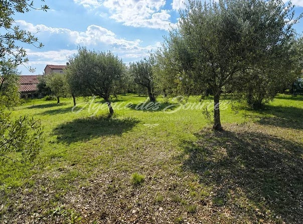 Tavernes, Var 83670