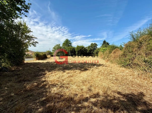 La Chapelle-Bâton, Deux-Sèvres 79220
