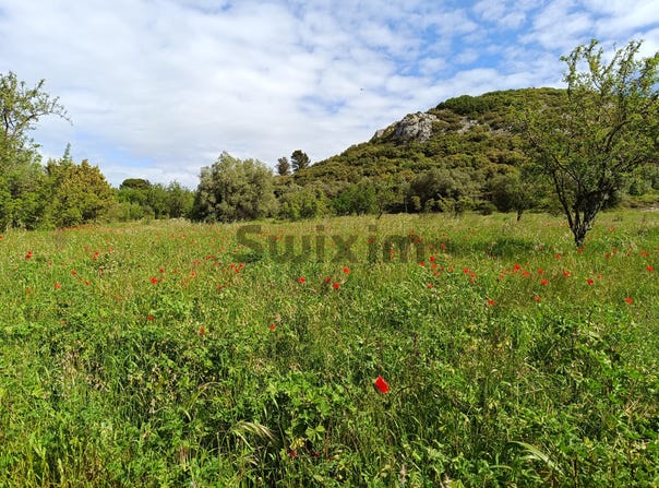 Saint-Bonnet-du-Gard, Occitanie 30210