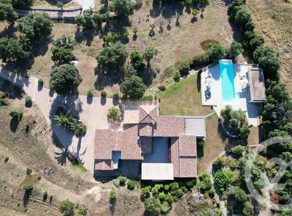 Lumio, Corsica 20260