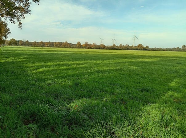 Riaillé, Pays de la Loire 44440