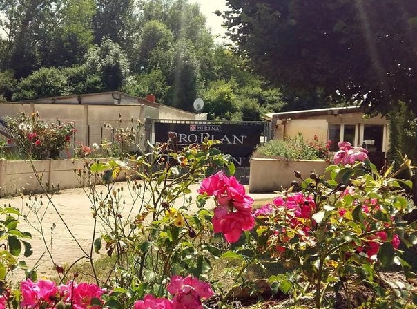 Épernon, Eure-et-Loir 28230