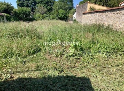Lucon, Pays de la Loire 85400