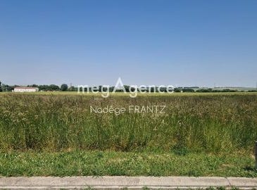 Landes, Poitou-Charentes 17380