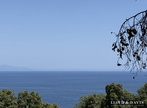 Brando, Corsica 20222
