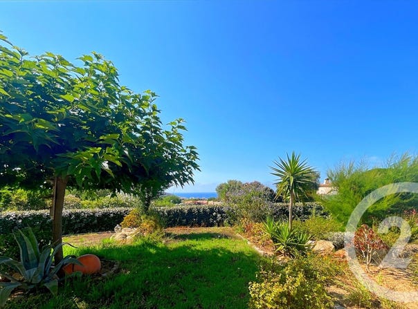 Monticello, Corsica 20220