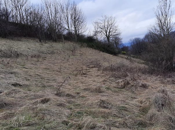 Varacieux, Isère 38470