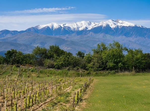 PERPIGNAN, Occitanie 66000