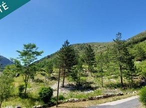 Gorges Du Tarn Causses, Languedoc-Roussillon 48210