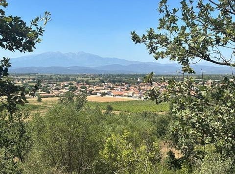Brouilla, Languedoc-Roussillon 66620