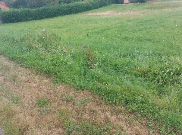 Sarrazac, Dordogne 24800