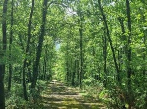 Serignac, Midi-Pyrénées 82500