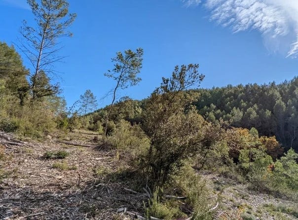 Carcès, Var 83570