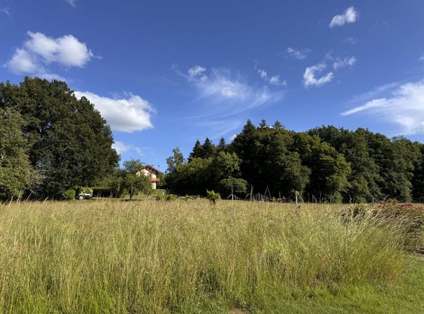 Louhans, Burgundy 71500