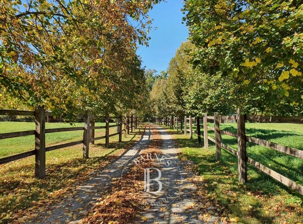 Maringues, Auvergne 63350