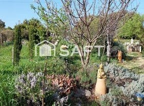 Felines-Minervois, Languedoc-Roussillon 34210