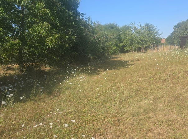 FAY AUX LOGES, Centre-Val de Loire 45450