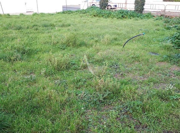 BARBATRE, Pays de la Loire 85630