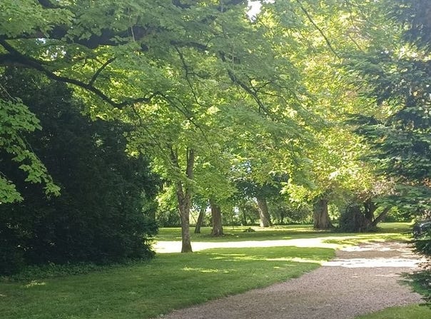 Faye-la-Vineuse, Centre-Val de Loire 37120