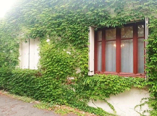 Lagrasse, Languedoc-Roussillon 11220