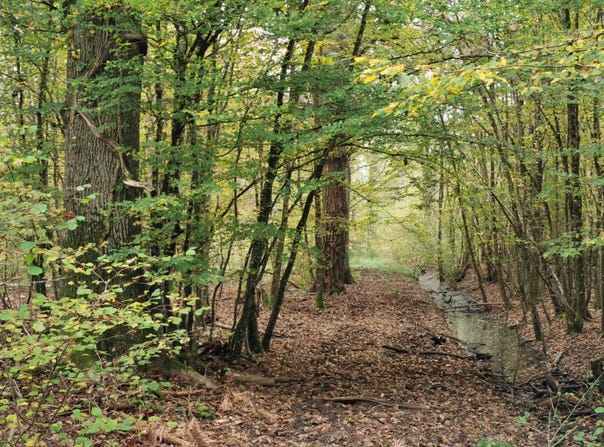 Gièvres, Centre 41130