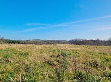 Auriolles, Aquitaine 33790