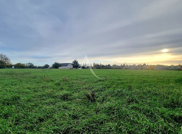 MIRE, Pays de la Loire 49330
