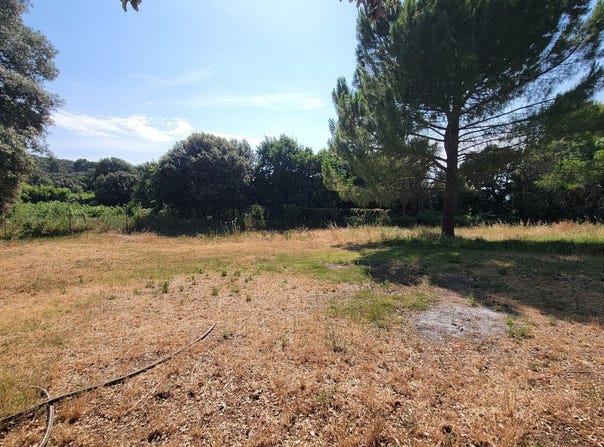 Le Pouget, Languedoc-Roussillon 34230