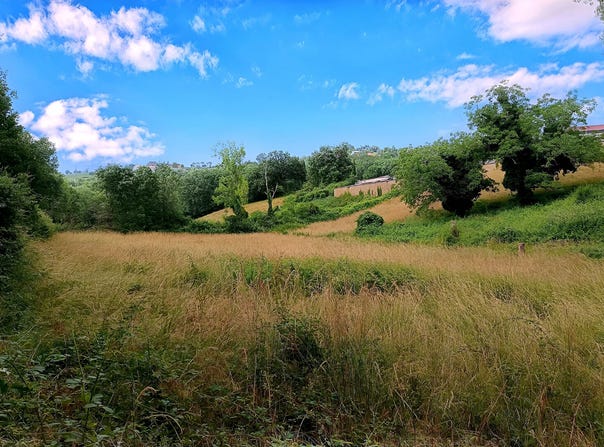 MIRANDOL BOURGNOUNAC, Occitanie 81190