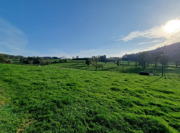 Verosvres, Burgundy 71220