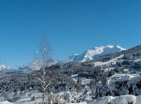 Megeve, Auvergne-Rhône-Alpes 74120