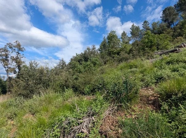 Carcès, Var 83570