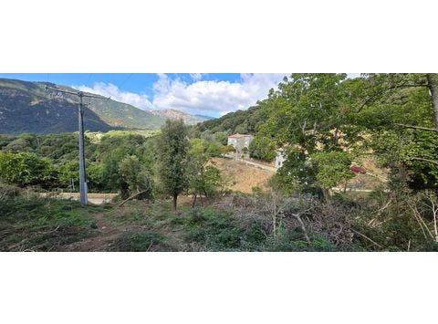 Olmiccia, Corse 20112