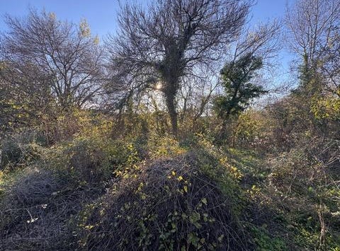 Grabels, Languedoc-Roussillon 34790