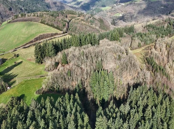 Curvalle, Midi-Pyrénées 81250