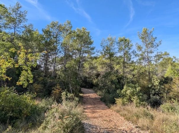 Carcès, Var 83570