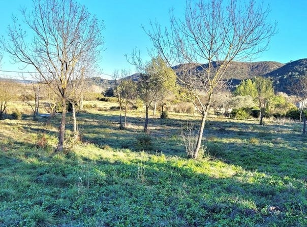 Saint-Chinian, Languedoc-Roussillon 34360