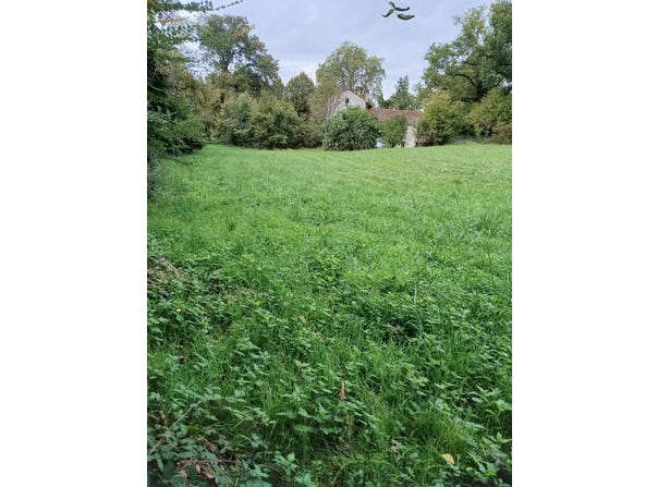 Ribérac, Dordogne 24600