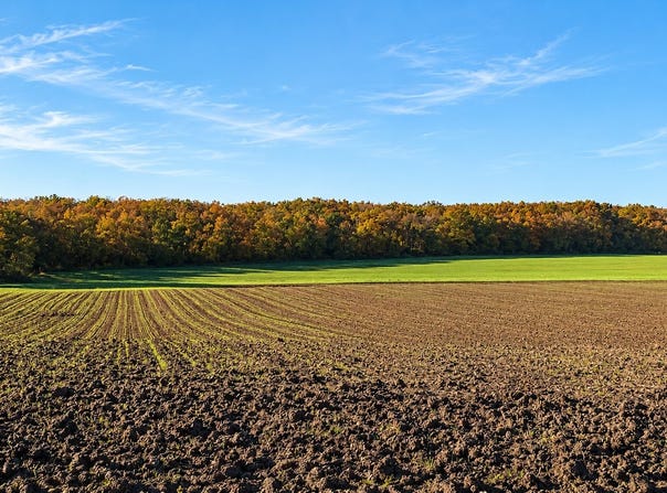 Jeu-les-Bois, Centre-Val de Loire 36120