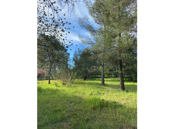 Montferrier-sur-Lez, Hérault 34980