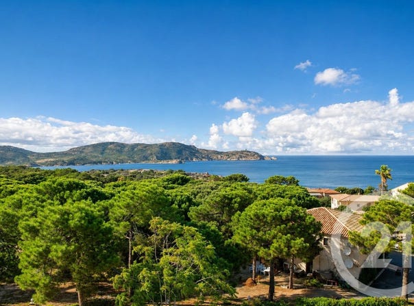 Calvi, Corsica 20260