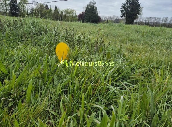 Janzé, Ille-et-Vilaine 35150