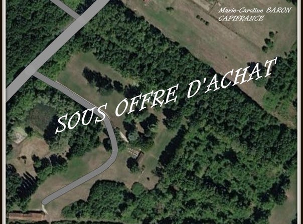 Buzançais, Centre-Val de Loire 36500