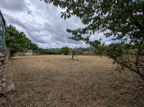 Andancette, Auvergne-Rhône-Alpes 26140