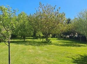 Mazamet, Midi-Pyrénées 81200
