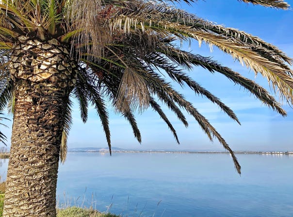 Palavas-les-Flots, Languedoc-Roussillon 34250